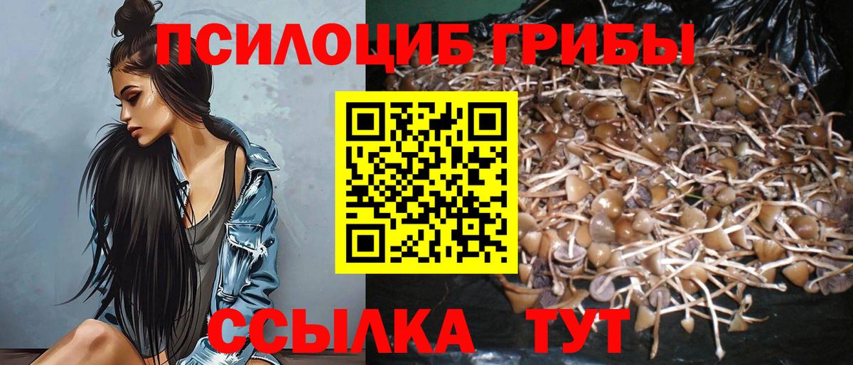 Домодедово  Псилоцибиновые грибы MAGIC MUSHROOMS  Вход с VPN 